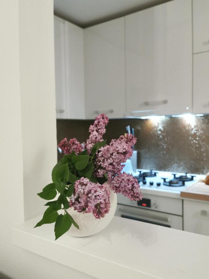 Apartma Kenzo *